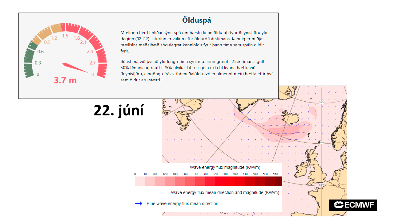 ÖLDUGANGUR Í REYNISFJÖRU